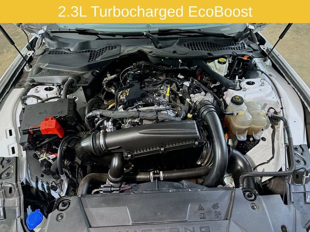 Certified 2024 Ford Mustang Premium RWD image 25