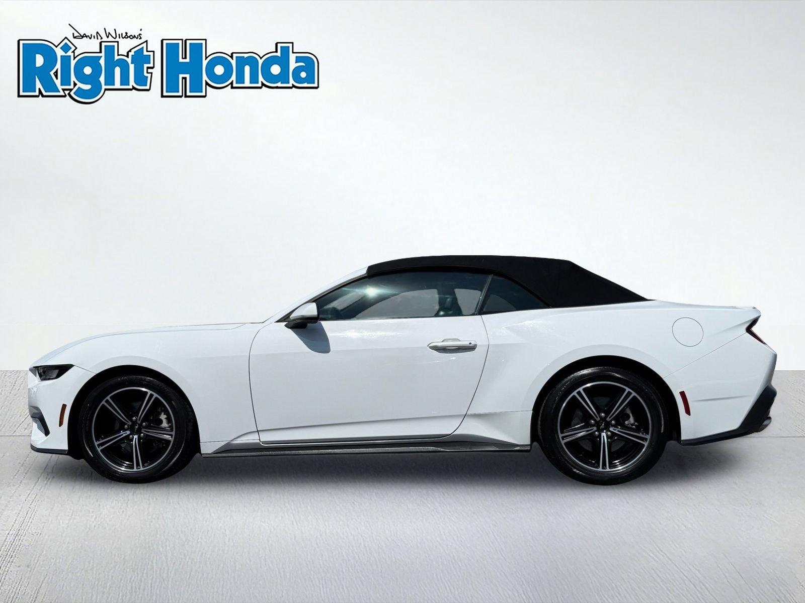 Used 2024 Ford Mustang Premium RWD image 3