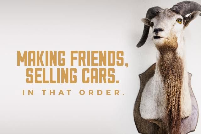 Used 2019 Chevrolet Silverado 1500 LT w/ All Star Edition image 7