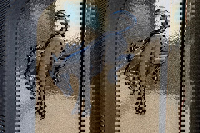 Used 2024 Ford Bronco Raptor image 17