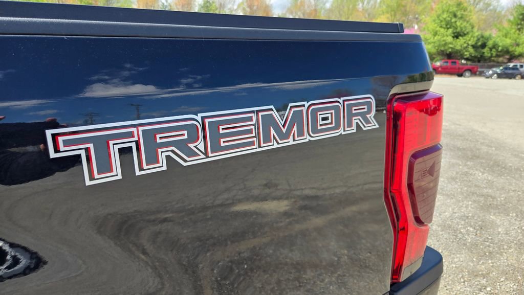 Used 2021 Ford F250 Platinum w/ Tremor Off-Road Package image 10