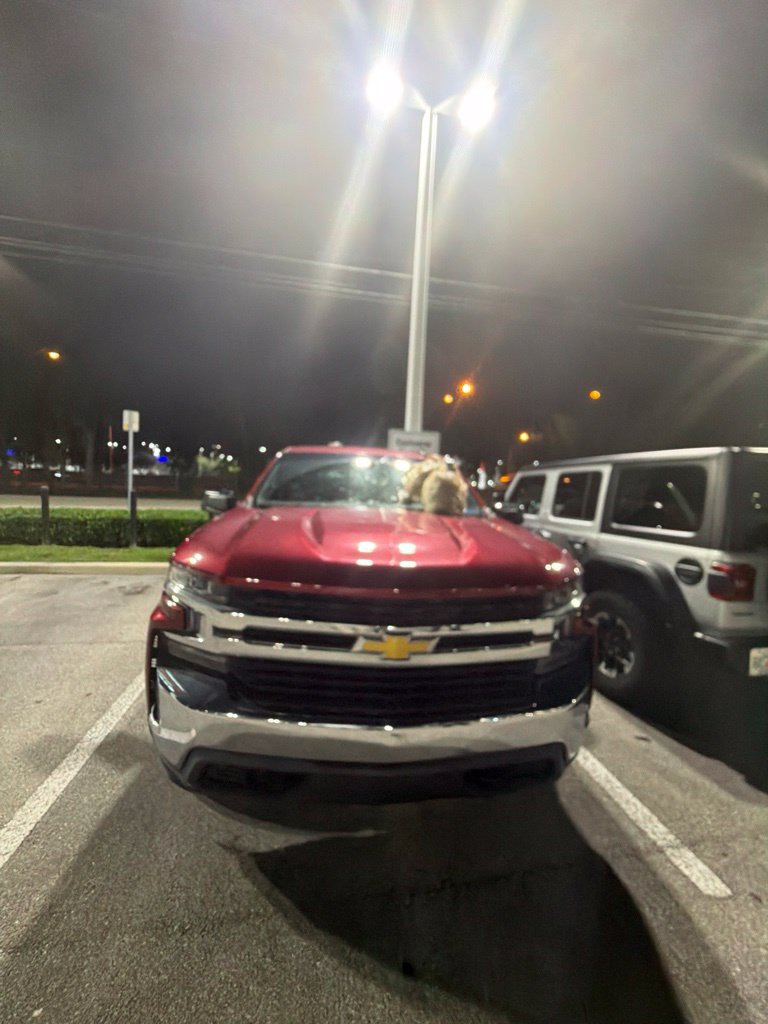 Used 2019 Chevrolet Silverado 1500 LT AWD/4WD image 3