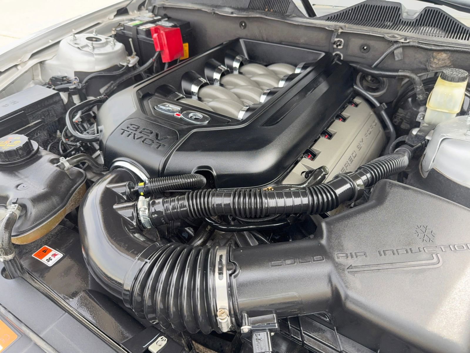 Used 2014 Ford Mustang GT Premium w/ Equipment Group 401A RWD image 9