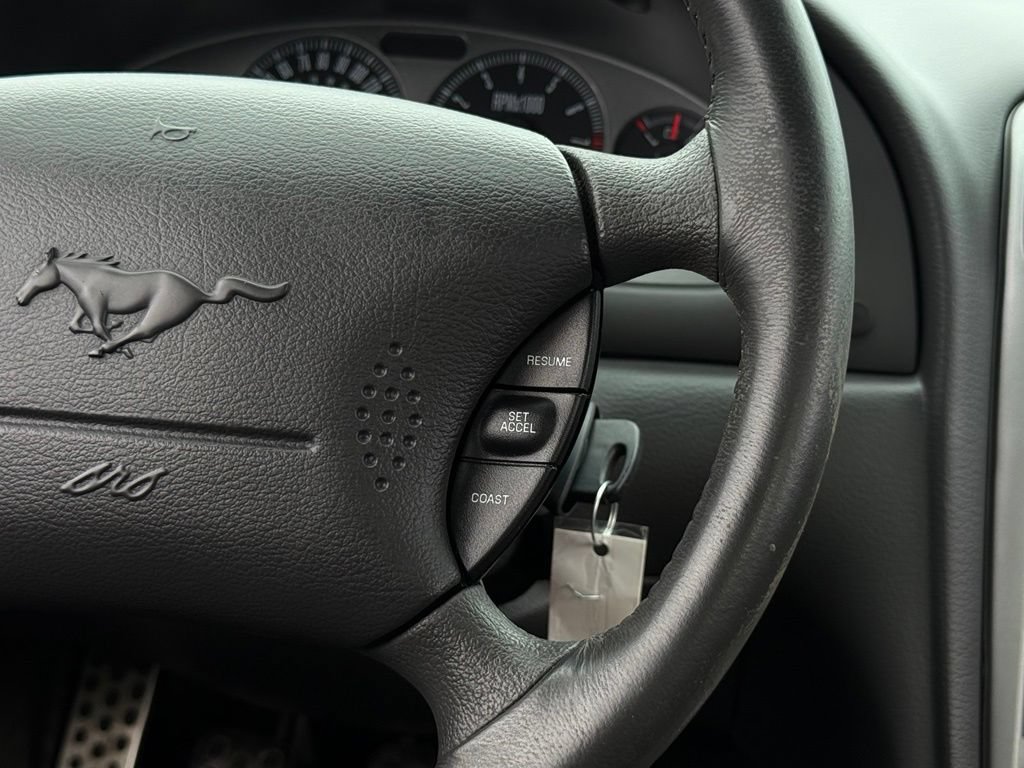 Used 2003 Ford Mustang Mach 1 RWD image 11