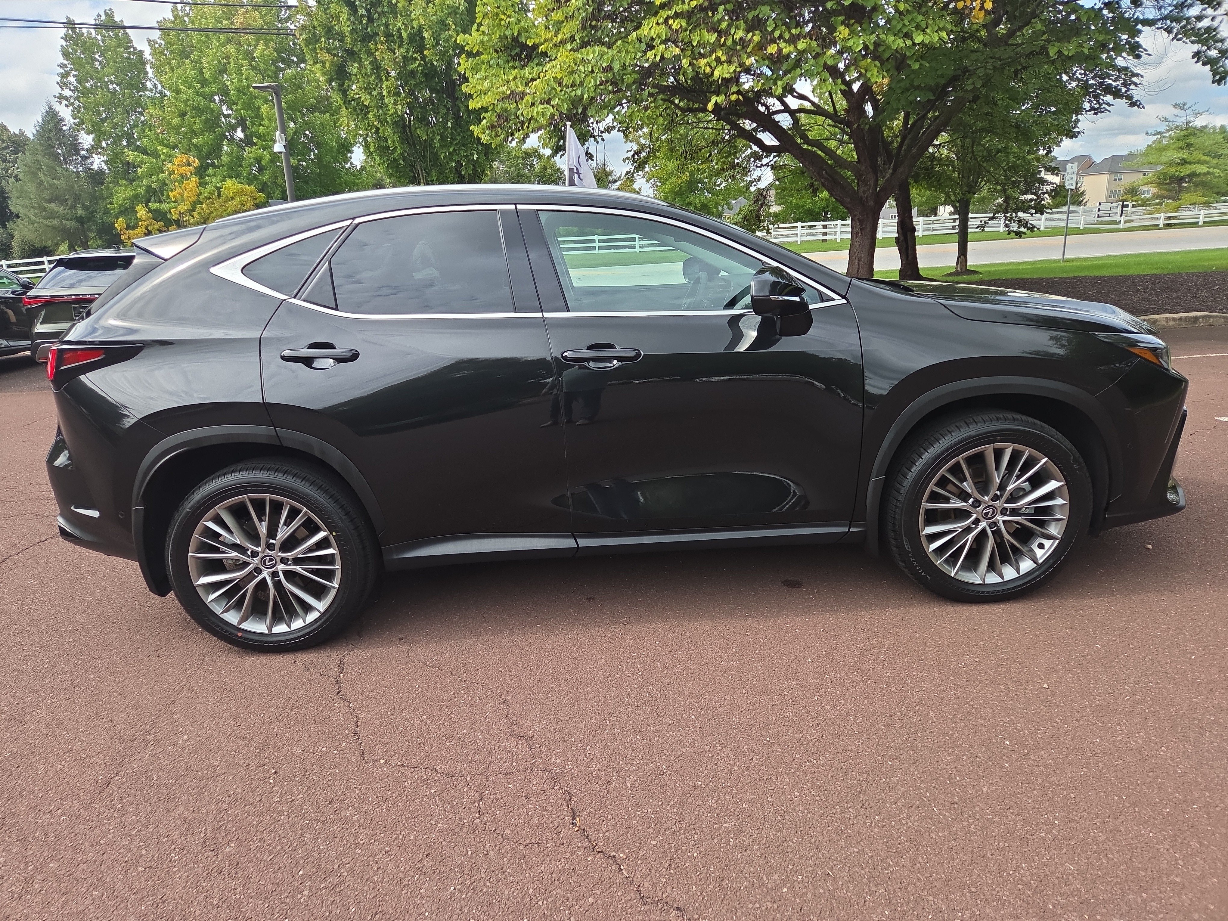Certified 2024 Lexus NX 350h AWD w/ Vision Package image 2