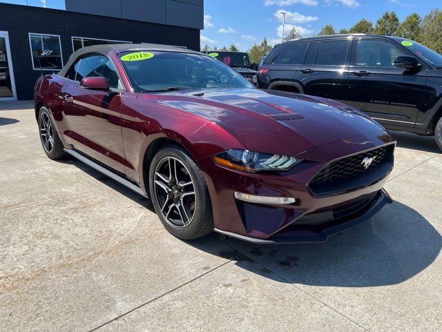 Used 2018 Ford Mustang Premium w/ Equipment Group 201A RWD image 1