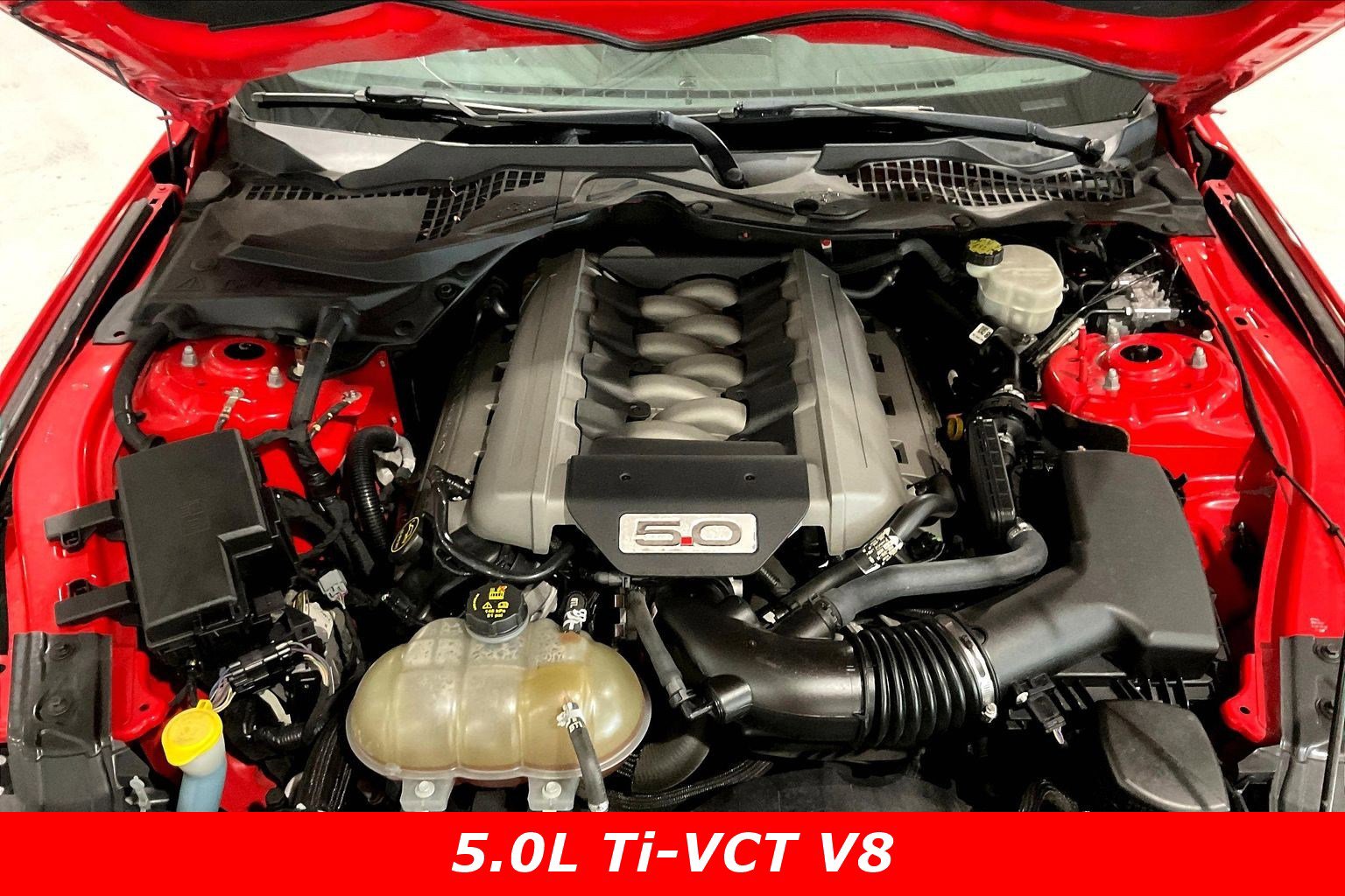 Used 2017 Ford Mustang GT w/ Enhanced Security Package RWD image 28
