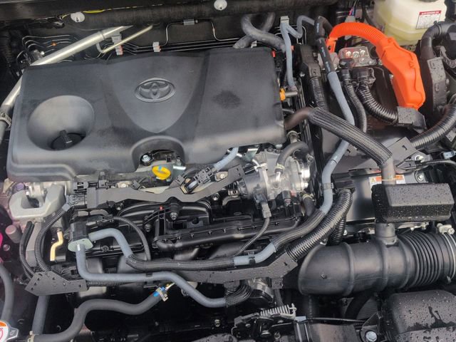 Certified 2025 Toyota RAV4 LE image 28