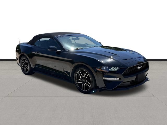 Used 2019 Ford Mustang Premium RWD image 3