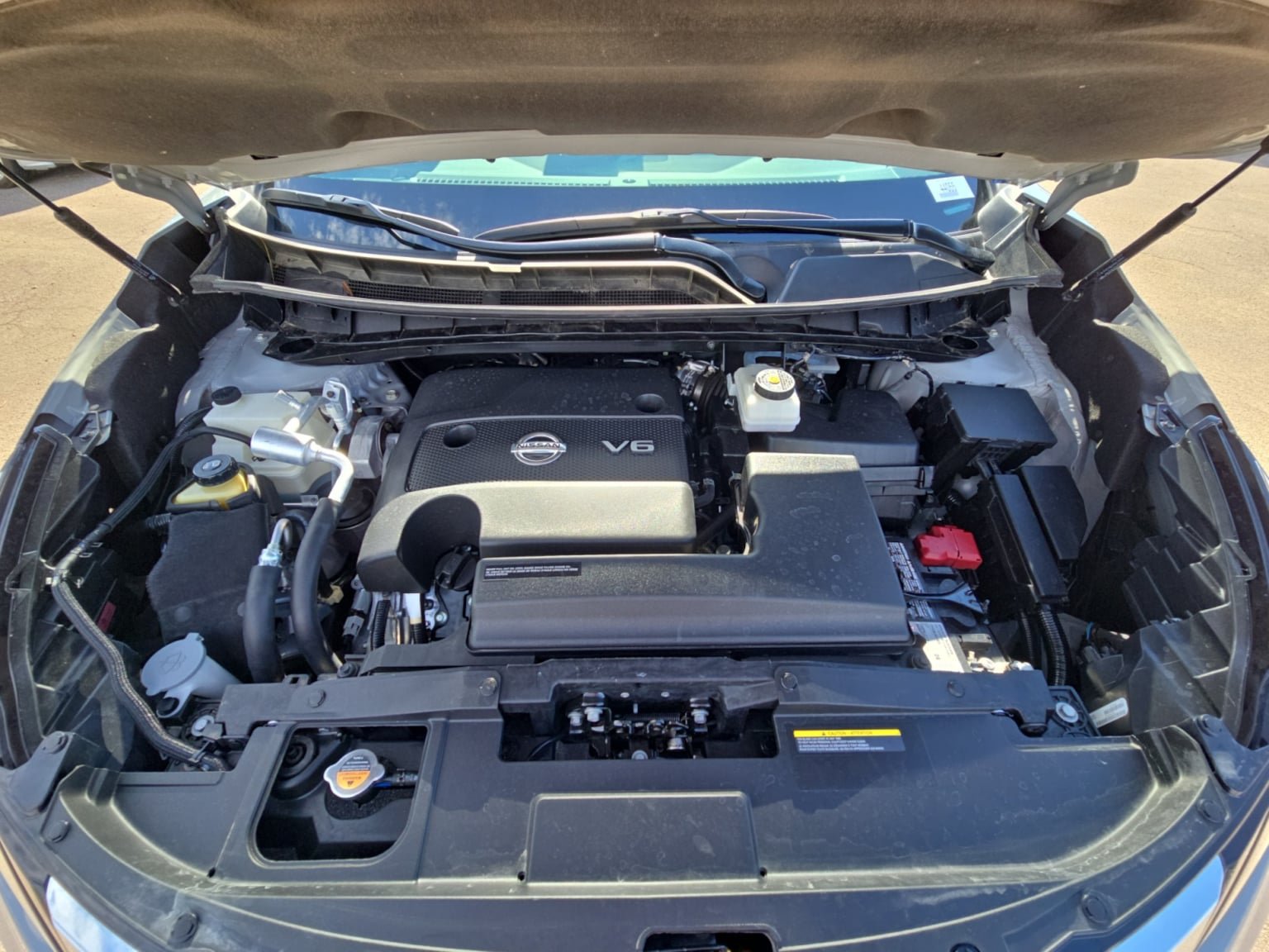 Used 2023 Nissan Murano SL w/ SL Moonroof Package FWD image 20
