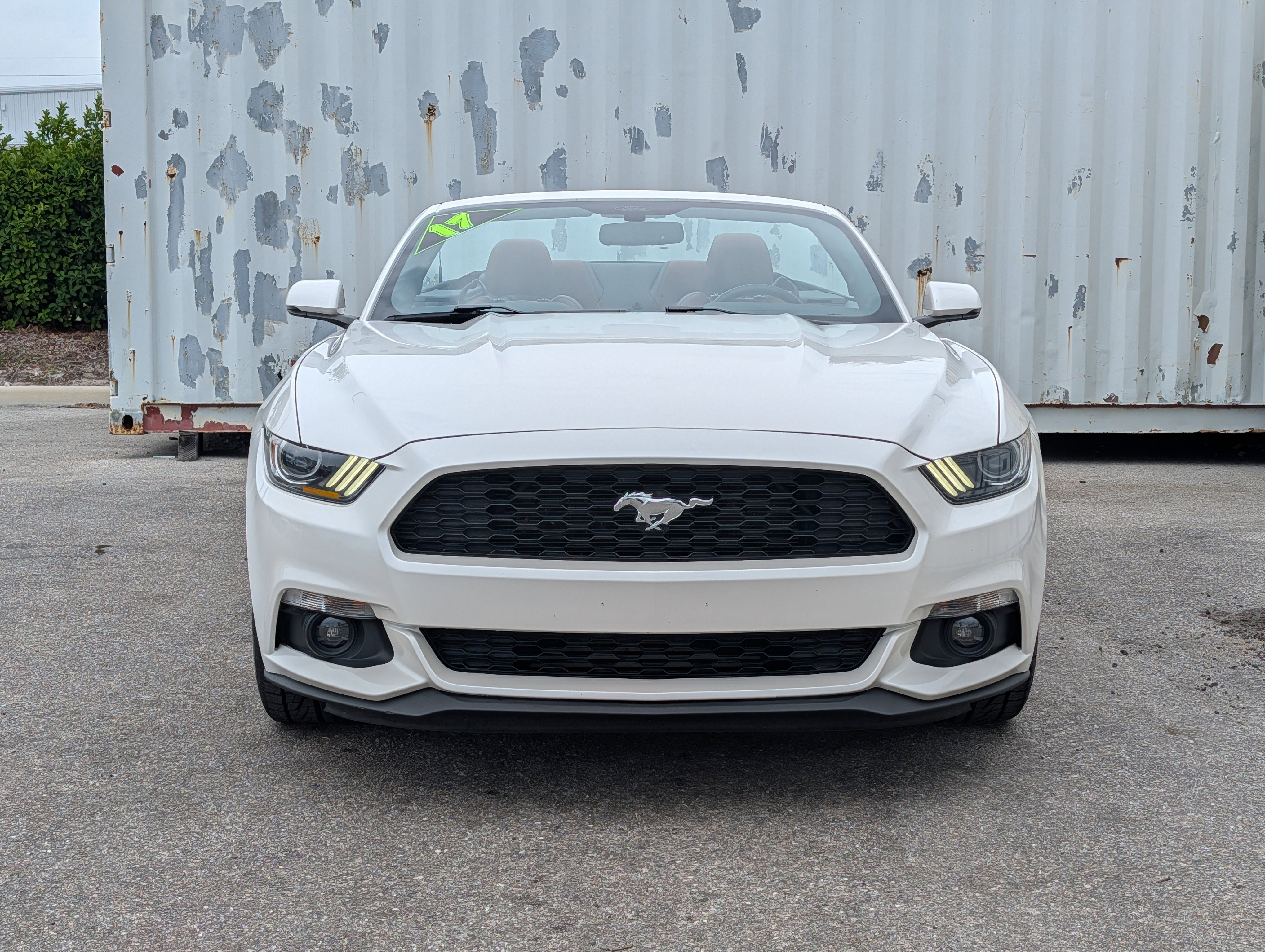 Used 2017 Ford Mustang Premium w/ Equipment Group 201A RWD image 8