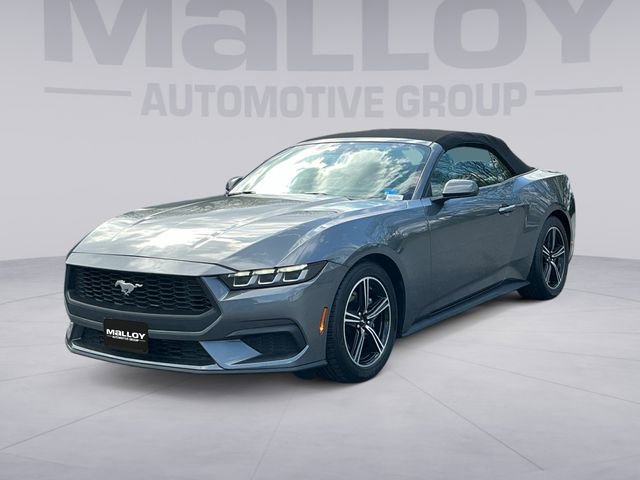 Certified 2024 Ford Mustang Premium image 1