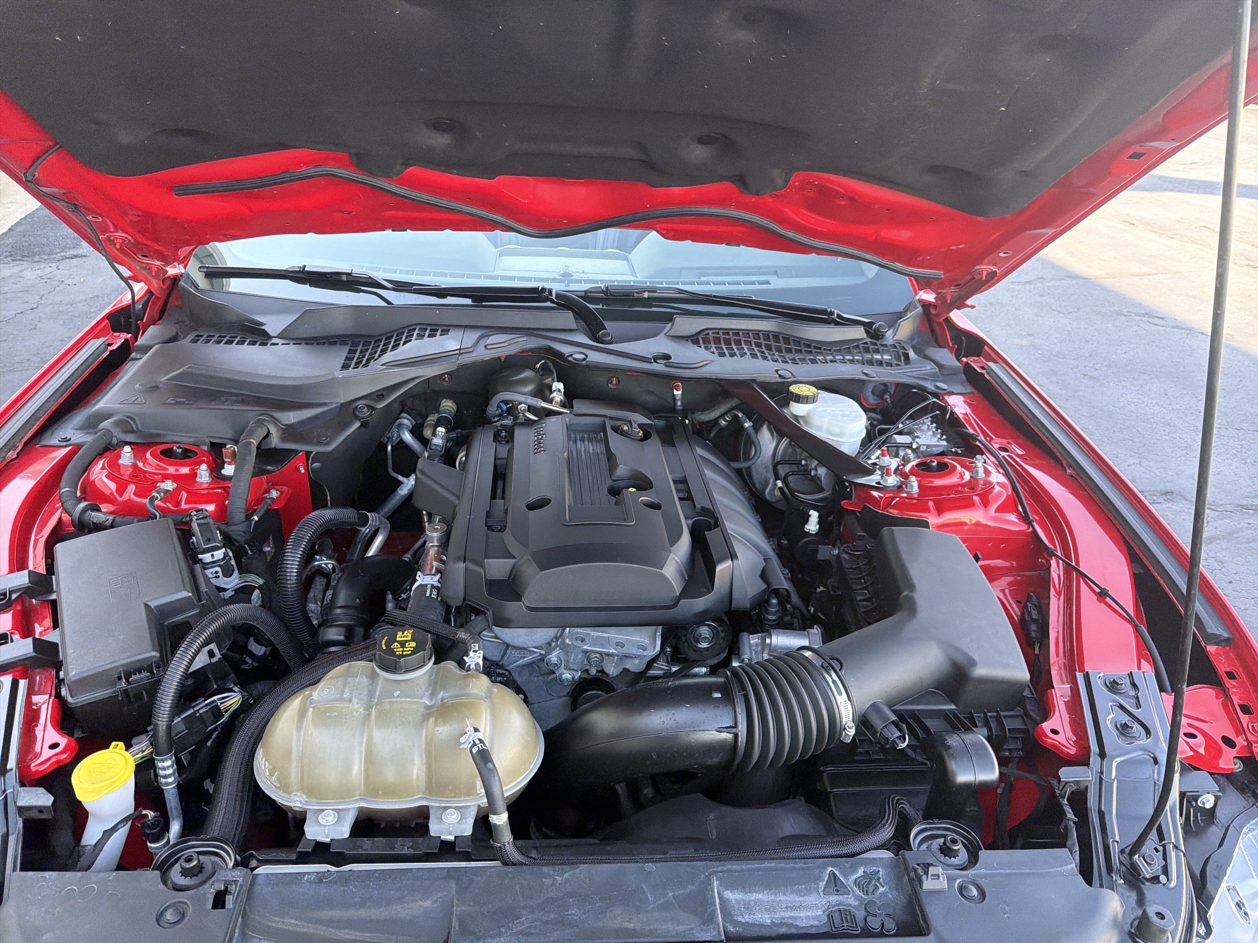 Used 2019 Ford Mustang Premium w/ Equipment Group 201A RWD image 55