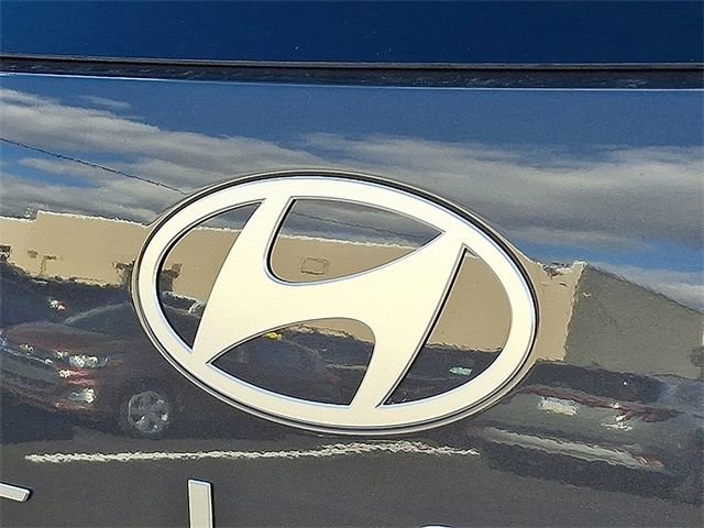 New 2026 Hyundai Palisade Calligraphy image 5