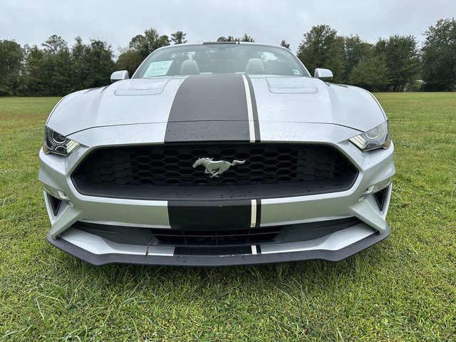 Used 2019 Ford Mustang Premium RWD image 2