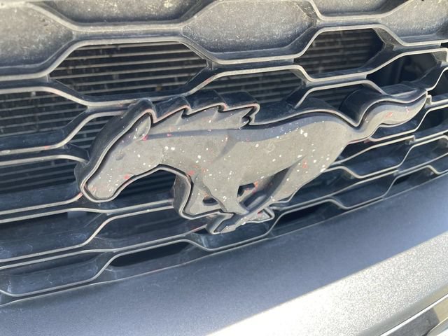 Used 2019 Ford Mustang Premium w/ Ecoboost Performance Package RWD image 30