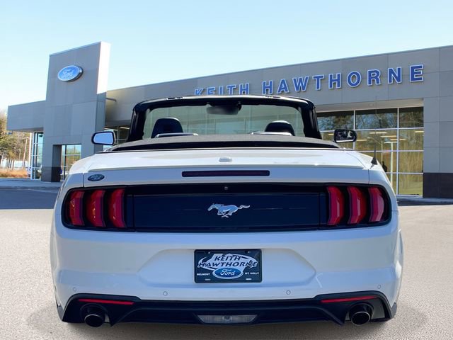 Certified 2019 Ford Mustang Premium w/ Equipment Group 201A image 5