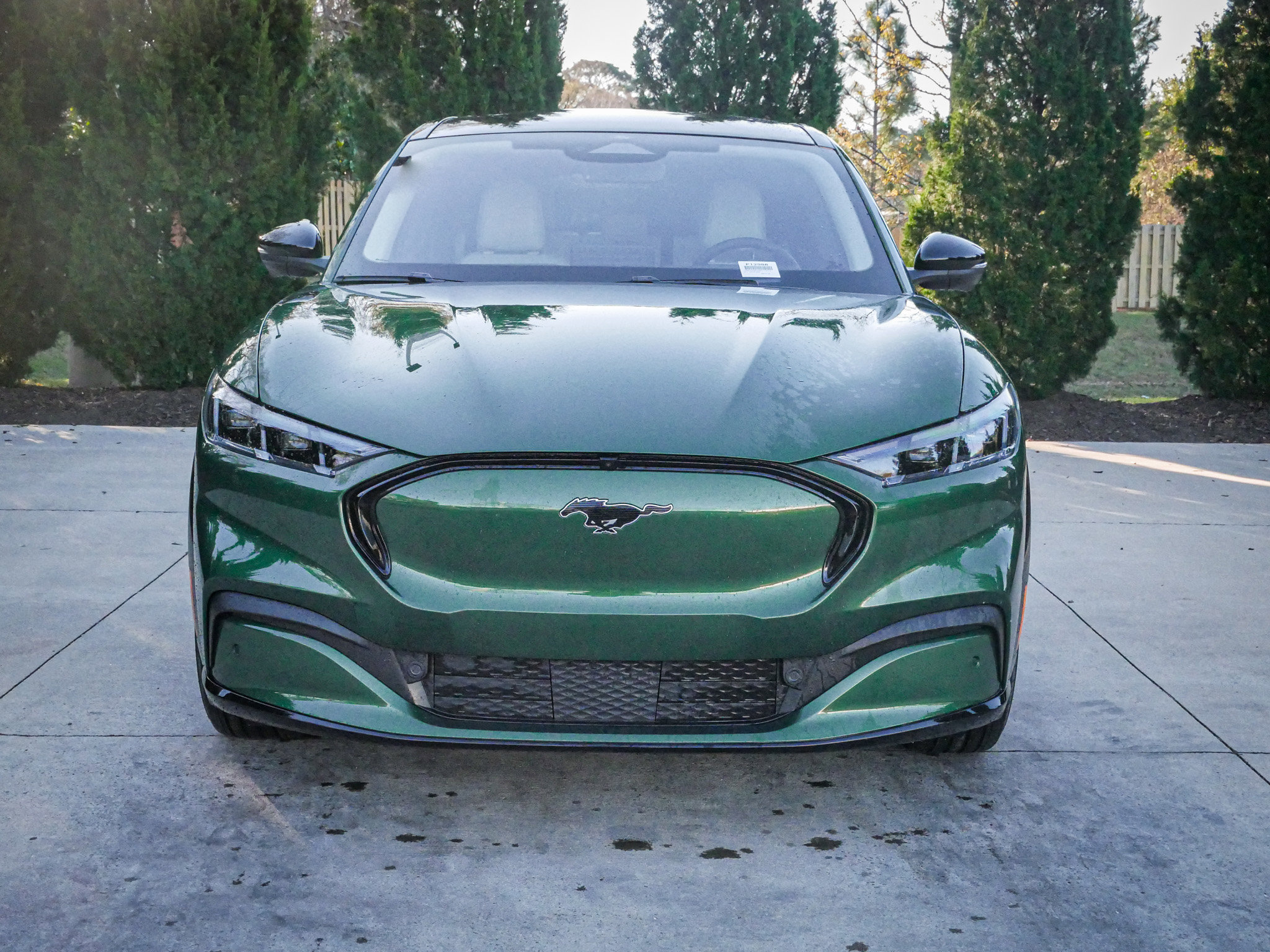 Used 2024 Ford Mustang Mach-E Premium image 3