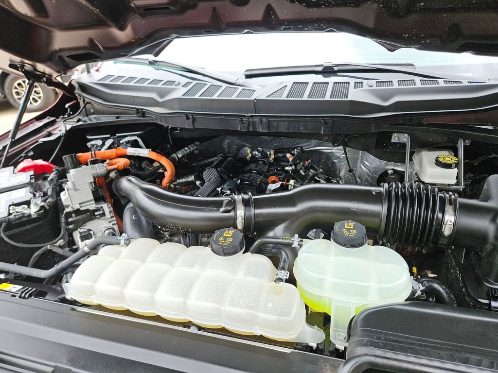 Used 2025 Ford F150 XLT w/ Equipment Group 301A Standard AWD/4WD image 23