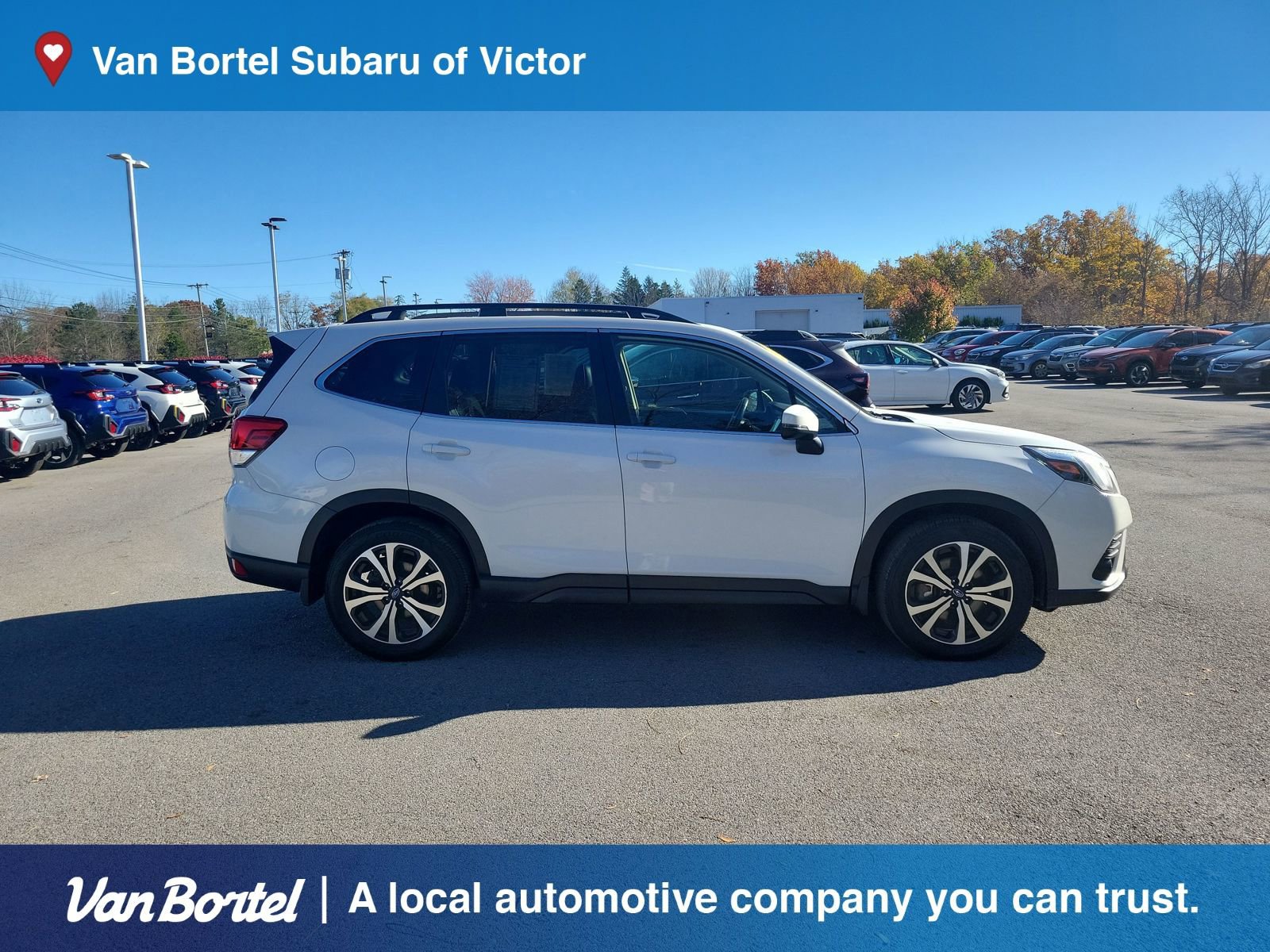 Used 2023 Subaru Forester Limited image 6