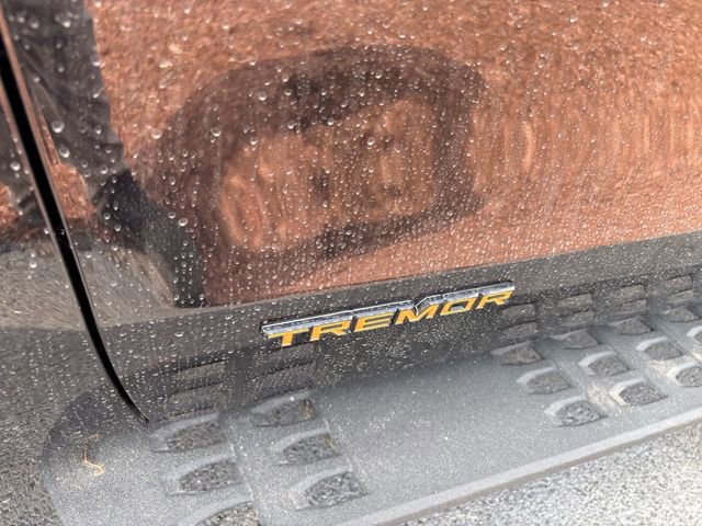 Used 2025 Ford Expedition Tremor AWD/4WD image 6
