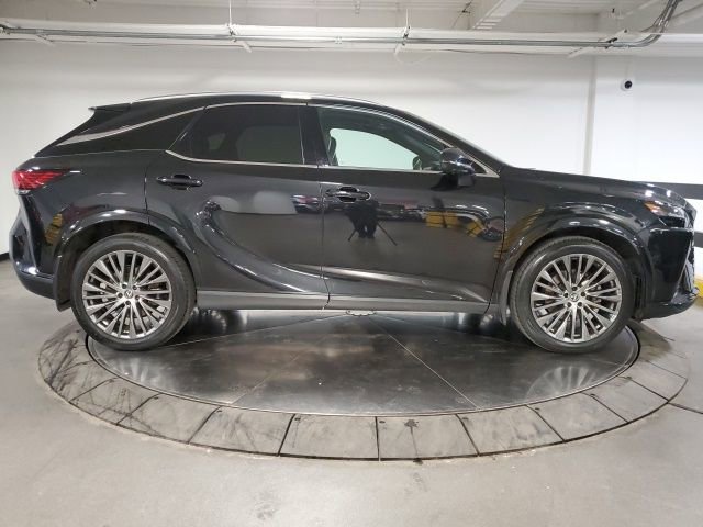 Used 2023 Lexus RX 350 w/ Cold Area Package image 9