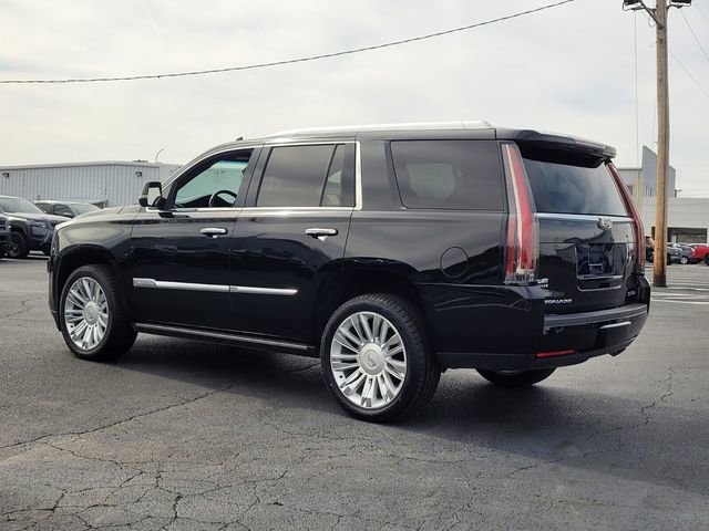 Used 2016 Cadillac Escalade Platinum image 3
