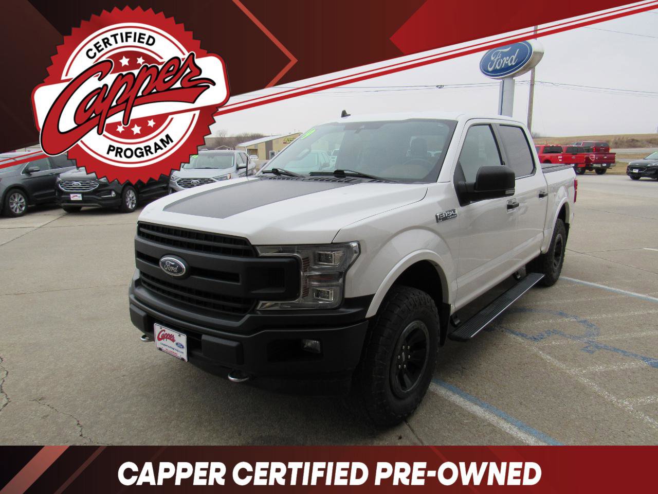 Used 2019 Ford F150 Platinum w/ Equipment Group 701A Luxury image 1