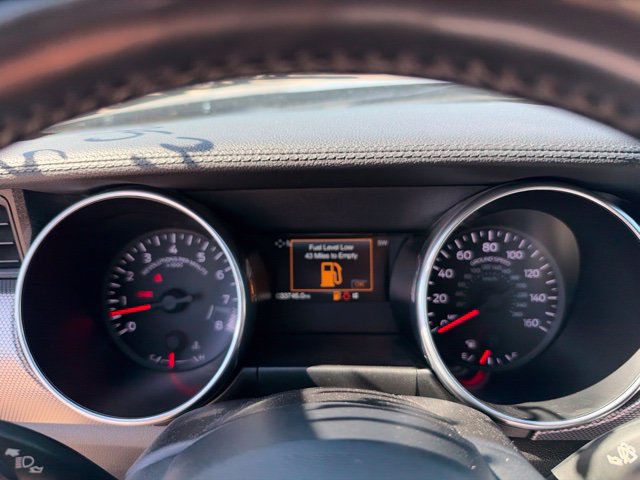 Used 2019 Ford Mustang GT w/ Equipment Group 301A RWD image 10