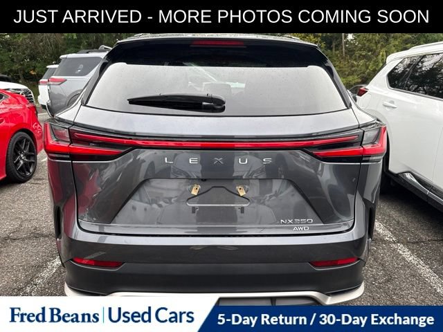 Used 2023 Lexus NX 350 F Sport AWD/4WD image 6