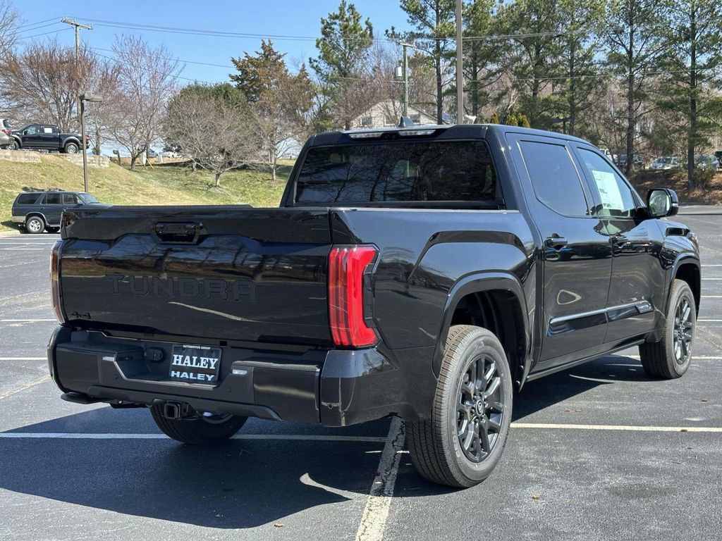 New 2025 Toyota Tundra Platinum image 19