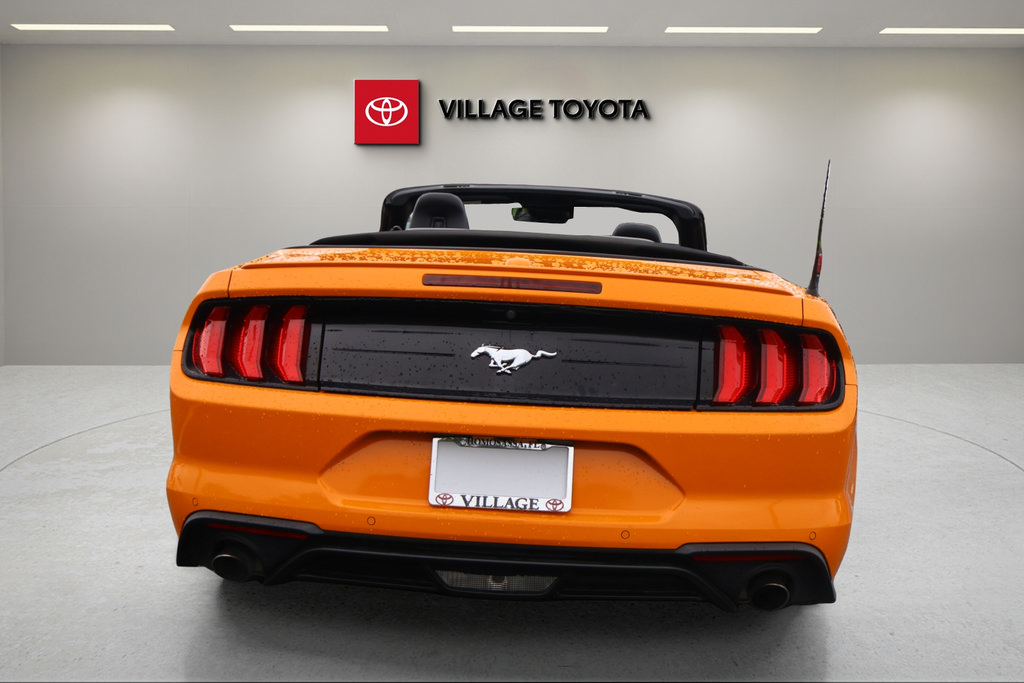 Used 2019 Ford Mustang Premium w/ Equipment Group 201A RWD image 5