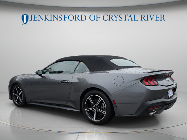 Used 2024 Ford Mustang Premium RWD image 9