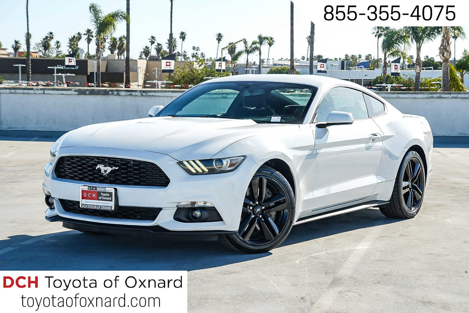 Used 2015 Ford Mustang EcoBoost w/ Ecoboost Performance Package image 1