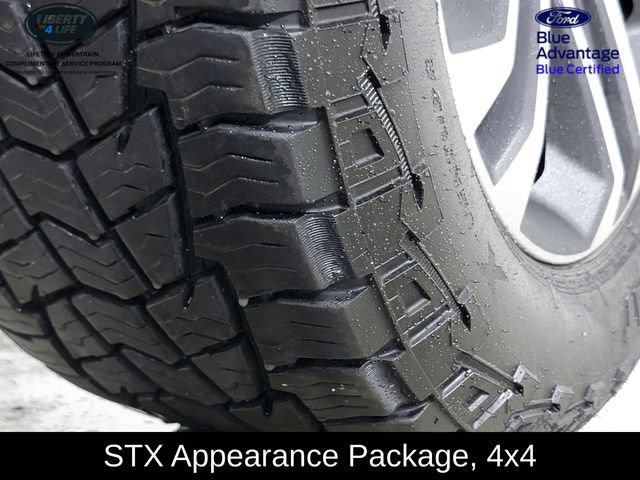 Certified 2022 Ford F150 XL w/ STX Appearance Package AWD/4WD image 11