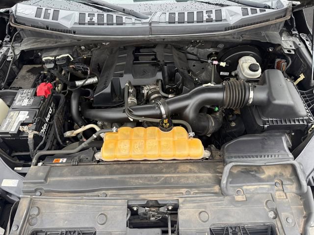 Used 2016 Ford F150 XLT w/ Equipment Group 301A Mid image 20