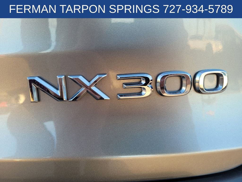 Used 2019 Lexus NX 300 F Sport image 16