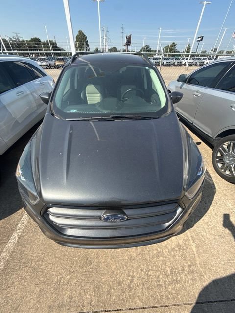 Used 2019 Ford Escape SEL FWD image 3