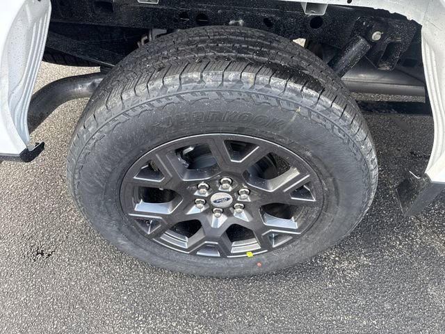 New 2026 Ford F150 STX w/ Equipment Group 200A image 13