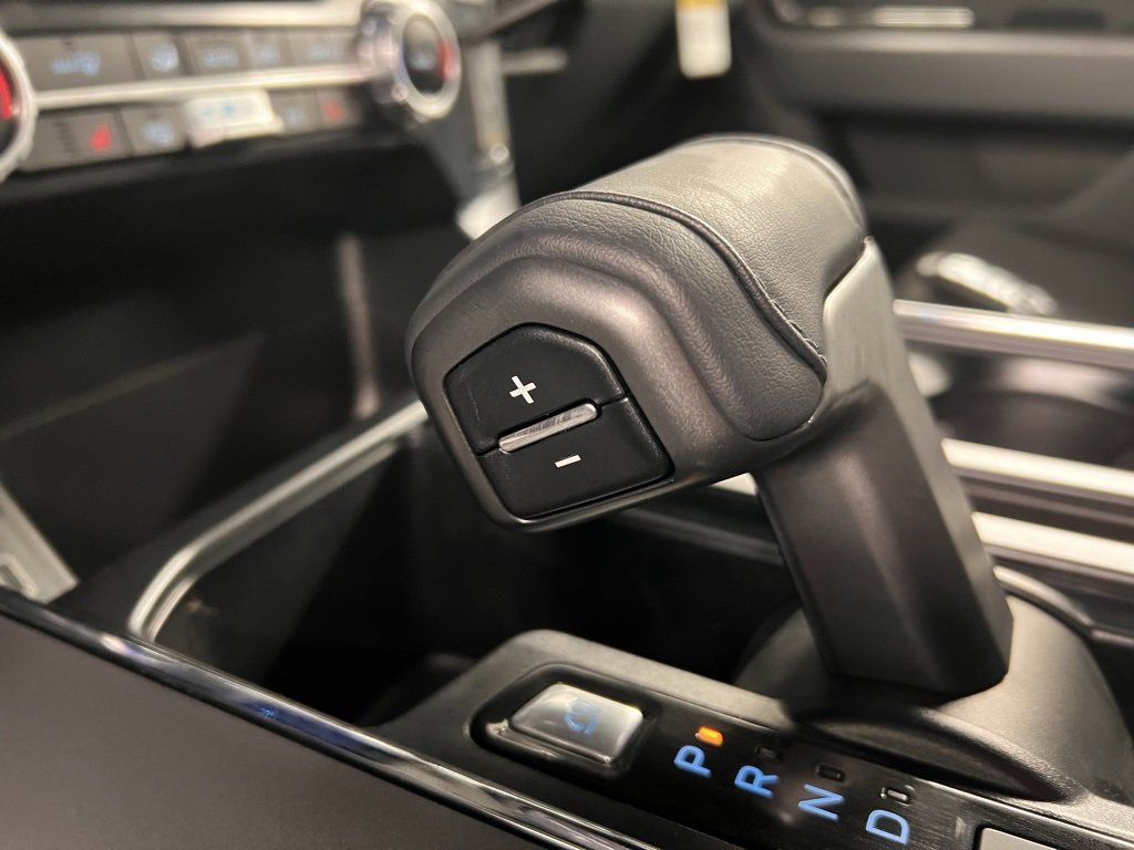 New 2025 Ford F150 XLT w/ Equipment Group 302A MID image 16