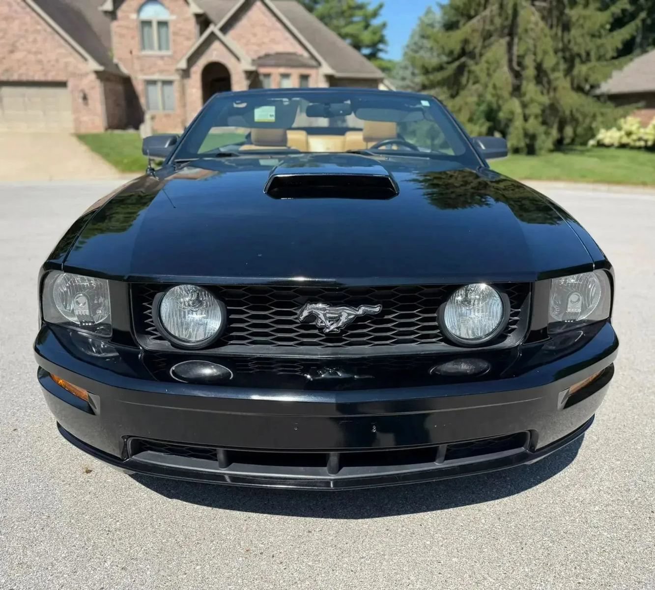 Used 2008 Ford Mustang GT Premium RWD image 2