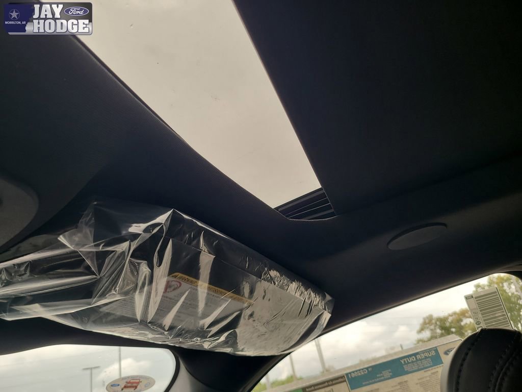 New 2026 Ford F250 Platinum image 28