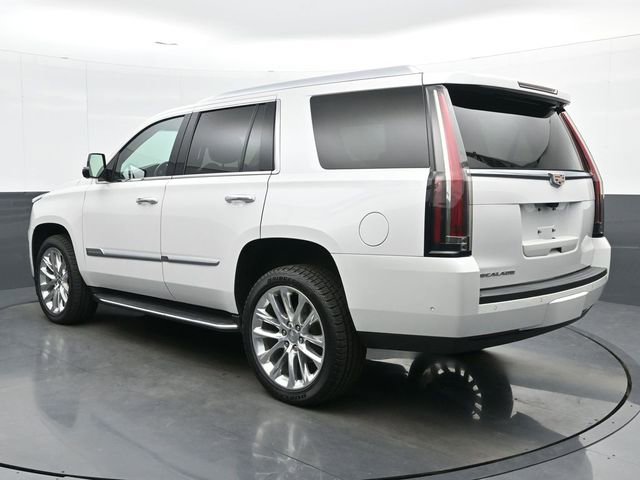 Used 2019 Cadillac Escalade Luxury image 6
