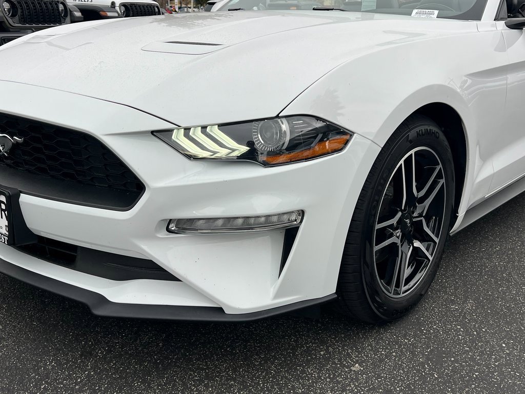Used 2023 Ford Mustang Premium image 10