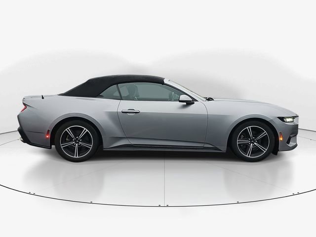 Used 2024 Ford Mustang Premium image 2