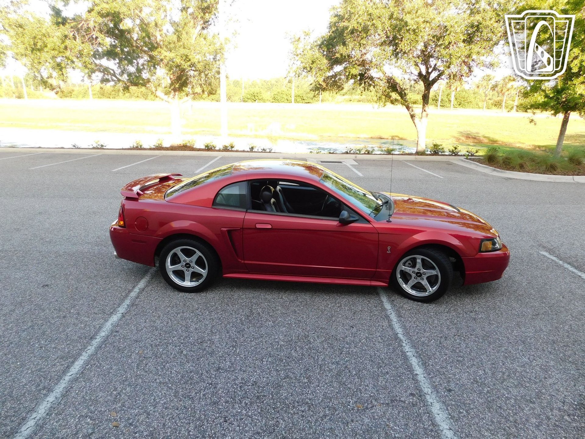 Used 2001 Ford Mustang Cobra image 12
