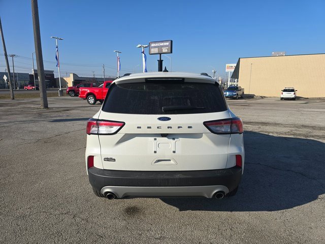 Used 2022 Ford Escape SEL image 6