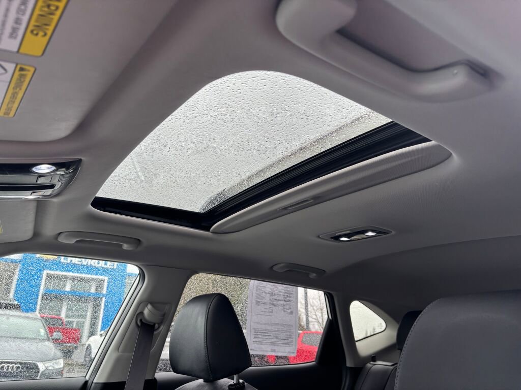 Used 2021 Kia Seltos SX w/ SX Sunroof Package image 15