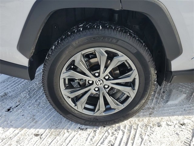 Used 2023 Toyota RAV4 XLE Premium image 5