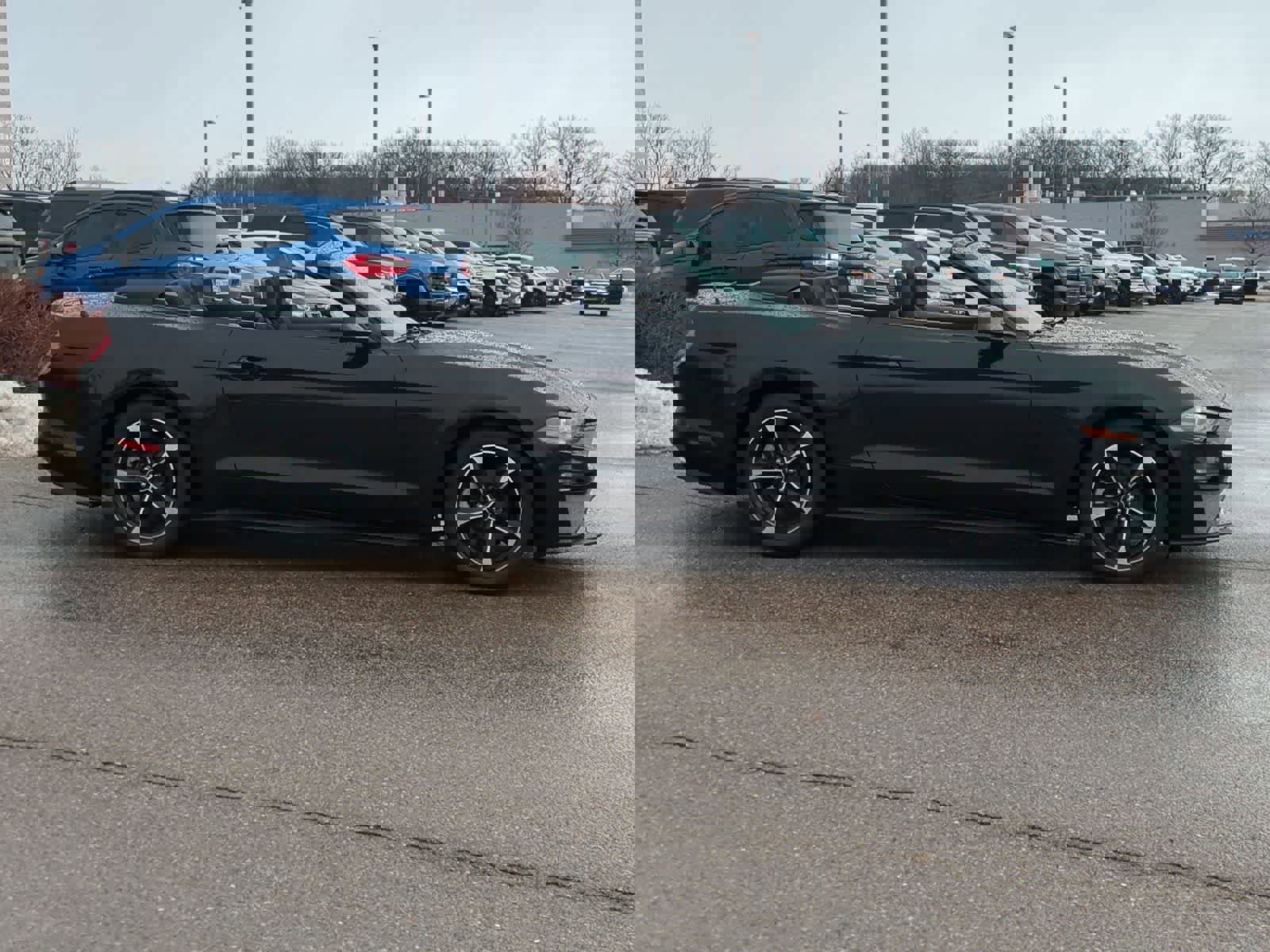 Used 2018 Ford Mustang EcoBoost w/ Equipment Group 101A image 9